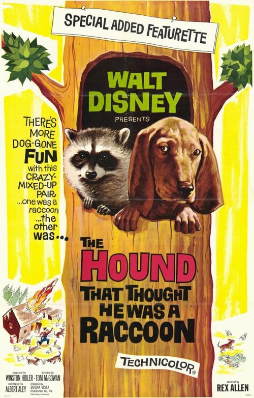 Обложка (Постер) Собака, которая думала, что была енотом / The Hound That Thought He Was a Raccoon (1960) SATRip